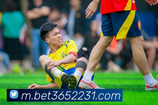bet365中国官网发展历程